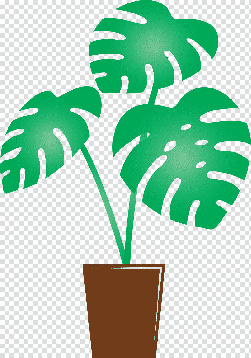 monstera tropical leaf, Plant Stem, Palm Trees, Flowerpot, Green, Meter, Arecales transparent background PNG clipart