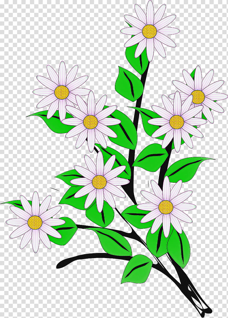 Daisy, Flower, Chamomile, Oxeye Daisy, Plant, Mayweed, Camomile, Wildflower transparent background PNG clipart