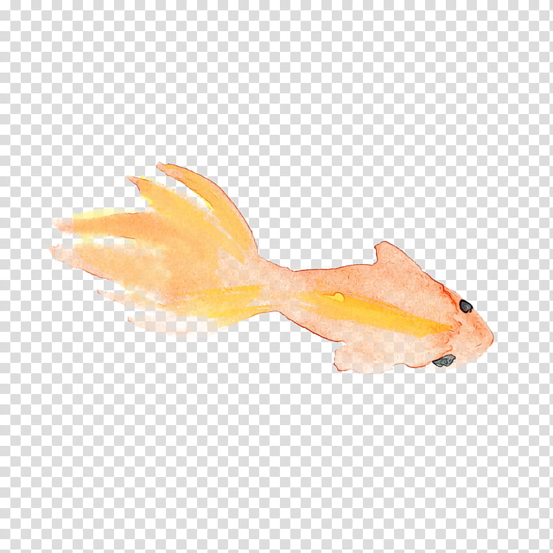 Orange, Watercolor Fish, Paint, Wet Ink, Goldfish, Yellow, Feeder Fish, Tail transparent background PNG clipart