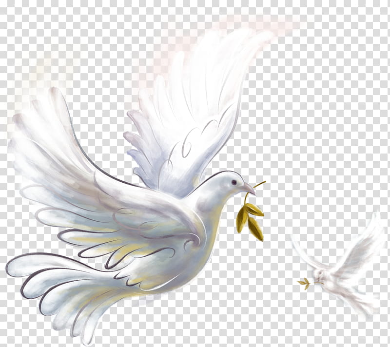Bird Drawing, Pigeons And Doves, Peace, Release Dove, Sculpture, Sculpture, Symbol, Watercolor Painting transparent background PNG clipart