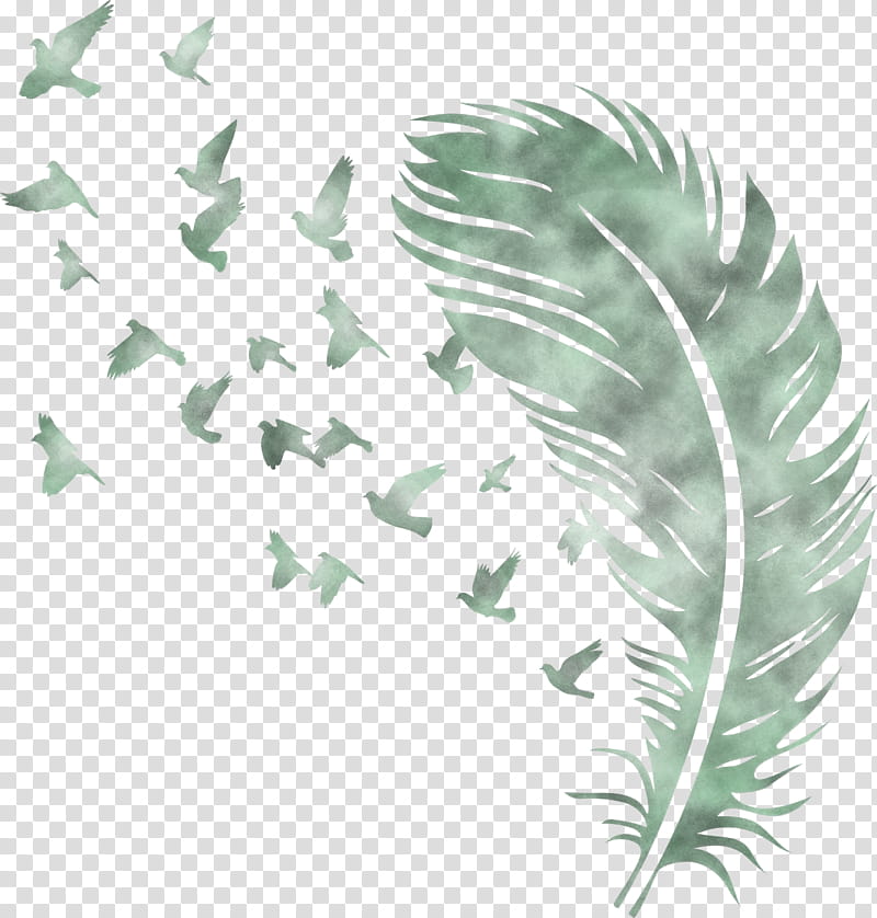Bird Feather, Birds, Leaf, Reptiles, Beak, Bird Nest, Cartoon, Plant Stem transparent background PNG clipart