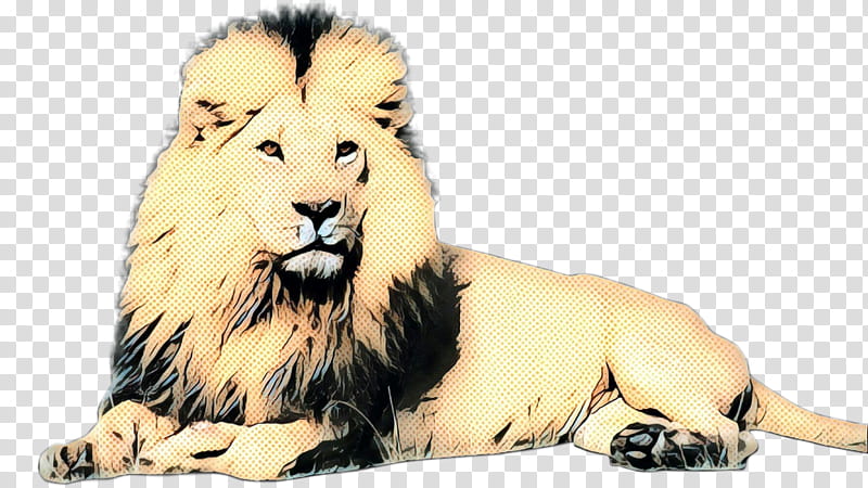 Cats, Lion, Asiatic Lion, Fur, Pet, Snout, Wildlife, Masai Lion transparent background PNG clipart