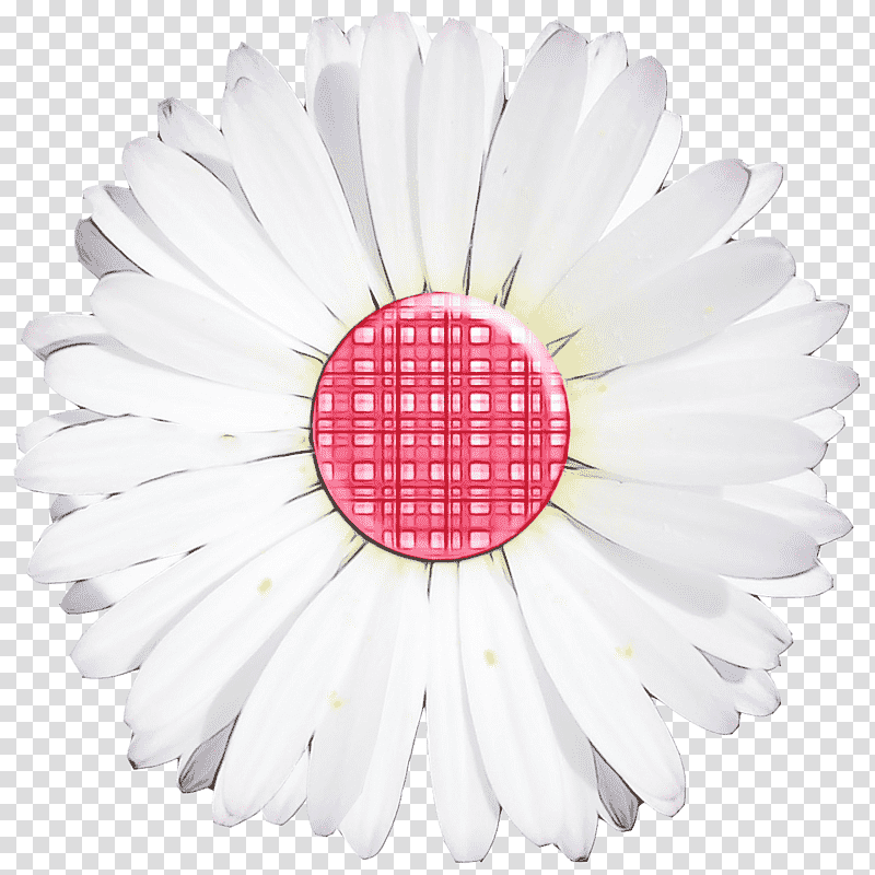 transvaal daisy cut flowers flower petal plants, Watercolor, Paint, Wet Ink, Science, Biology transparent background PNG clipart