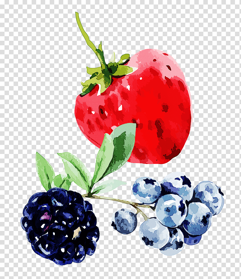 Strawberry, Superfood, Bilberry, Natural Food, Still Life , Inismsci Saudi Acapls, Blackberry Limited transparent background PNG clipart