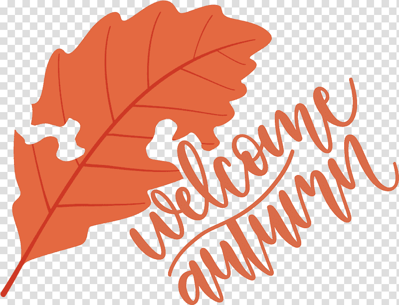 Welcome Autumn Autumn, Leaf, Logo, Maple Leaf, Flower, Tree, Meter transparent background PNG clipart