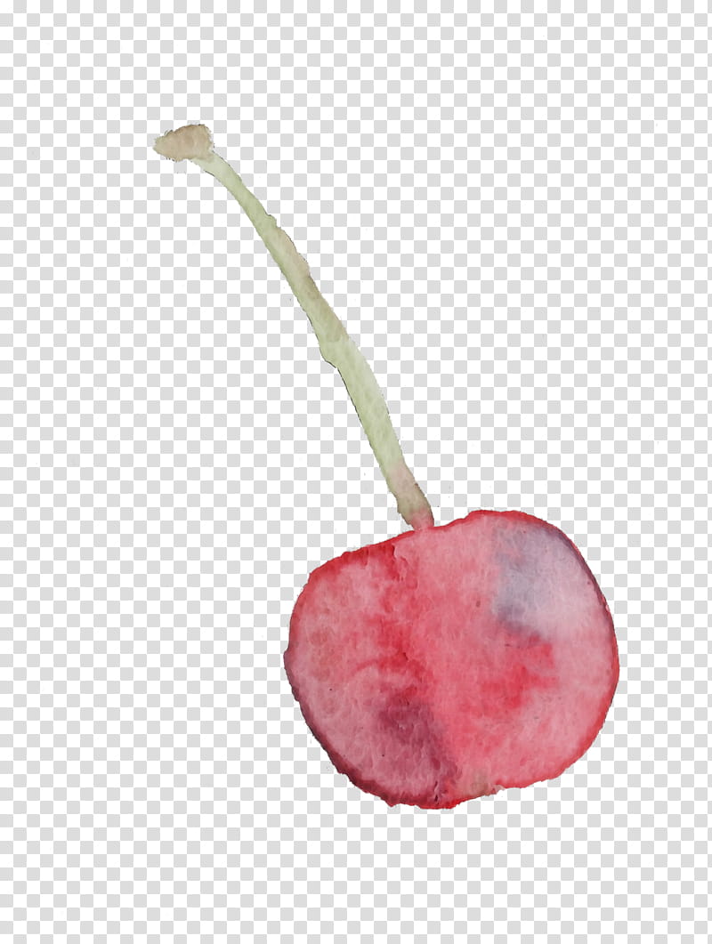 pink cherry plant flower fruit, Watercolor Cherry, Paint, Wet Ink, Anthurium, Drupe, Food, Prunus transparent background PNG clipart