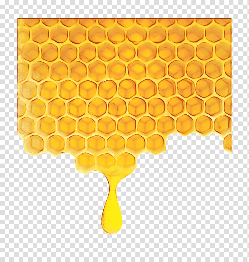 Watercolor Honey Comb, Watercolor, Hand, Draw PNG Transparent Image and  Clipart for Free Download