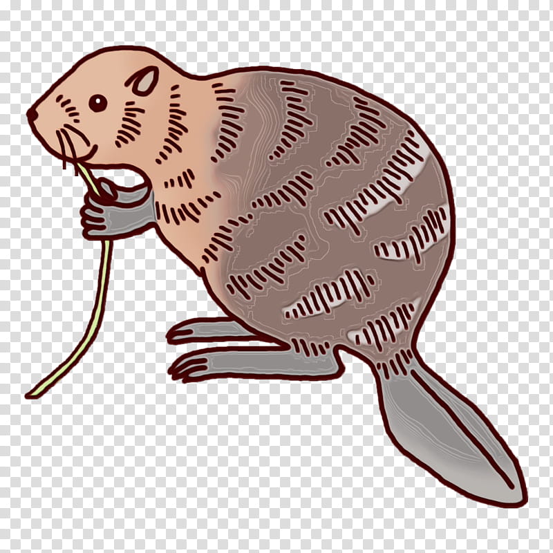 beaver computer mouse mad catz r.a.t. m, Watercolor, Paint, Wet Ink, Mad Catz Rat M transparent background PNG clipart