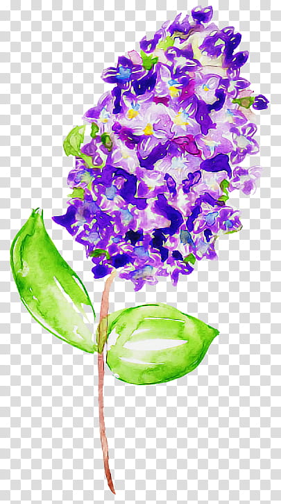 flower purple violet plant lilac, Cut Flowers, Pontederia, Dendrobium, Orchid transparent background PNG clipart