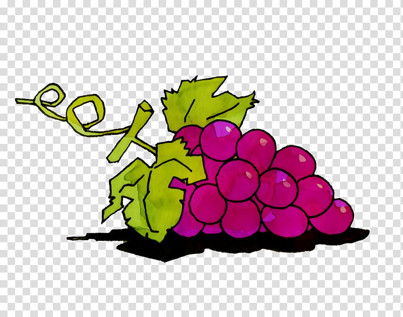 grape leaf m-tree purple meter, Cartoon Fruit, Kawaii Fruit, Watercolor, Paint, Wet Ink, Mtree, Plant Structure transparent background PNG clipart