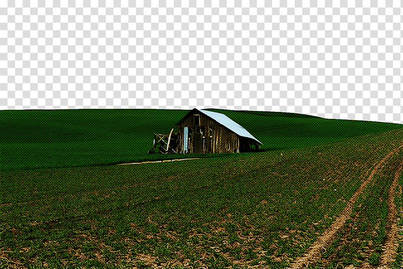 grasses rural area barn grassland farm, Ecoregion, Mound transparent background PNG clipart