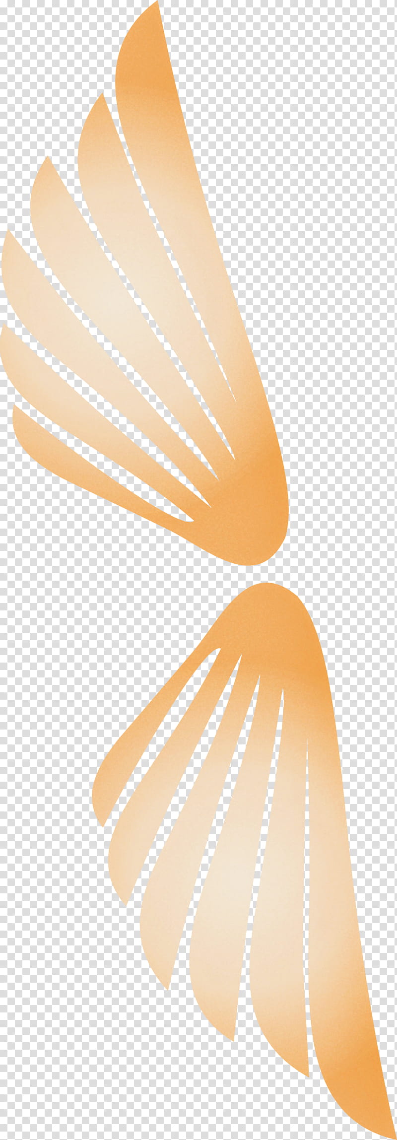 wings bird wings angle wings, Line, Orange, Beige, Material Property, Peach, Logo transparent background PNG clipart