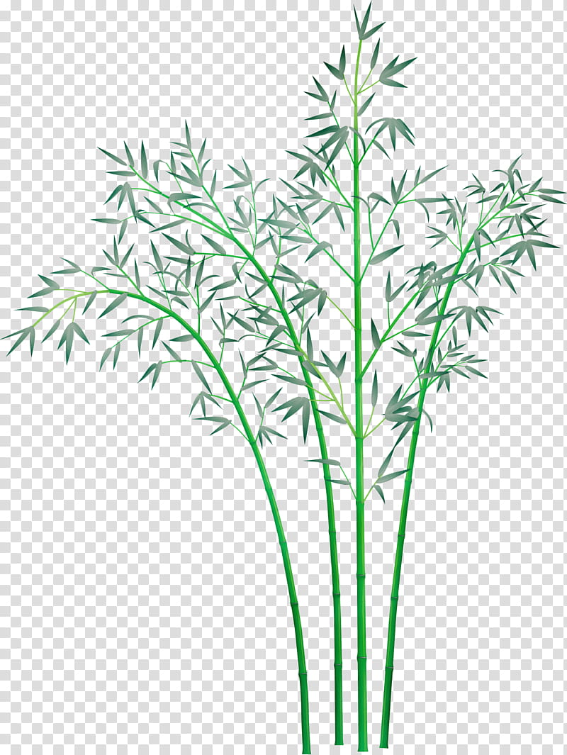 plant leaf grass plant stem grass family, Bamboo, Watercolor, Paint, Wet Ink, Flower, Tree, Pedicel transparent background PNG clipart