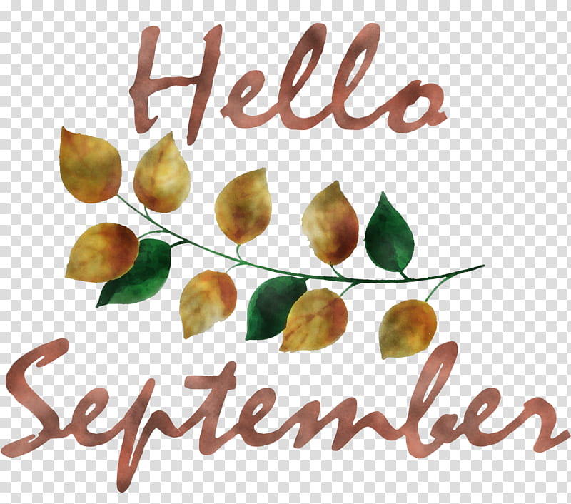hello september, Tamarind, Tree Nut Allergy, Natural Foods, Superfood, Meter, Vy2 transparent background PNG clipart