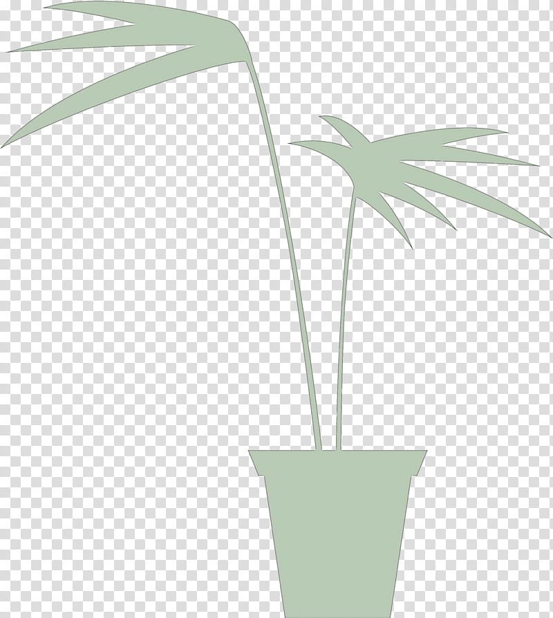 Palm trees, Leaf, Root, Plant Stem, Dicotyledon, Grasses, Monocotyledon, Plant Anatomy transparent background PNG clipart
