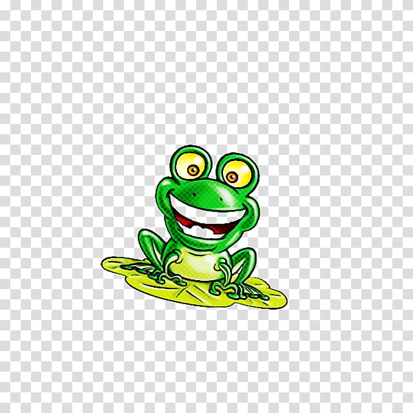 true frog tree frog frogs toad tadpole, American Bullfrog, Australian Green Tree Frog, Redeyed Tree Frog, Life, Meter, Biology, Science transparent background PNG clipart