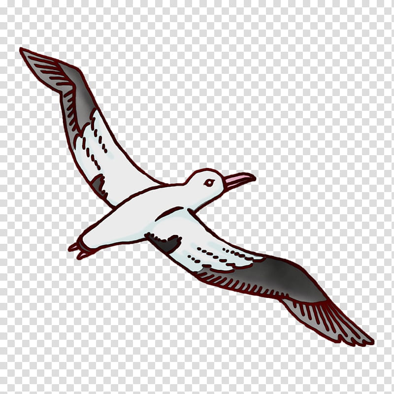 Feather, Watercolor, Paint, Wet Ink, Beak, Shorebirds, Seabird, Bird Of Prey transparent background PNG clipart