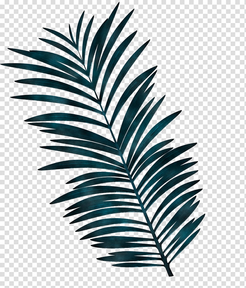 Palm trees, Leaf Cartoon, Leaf , Leaf Abstract, Plant Stem, Branch, Tree Line, Fern transparent background PNG clipart