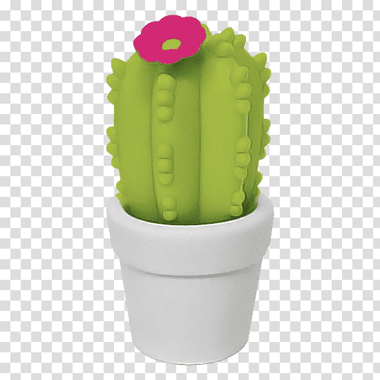 Cactus, Night Light, Plants, Flowerpot, Lamp, Plastic, Nursery transparent background PNG clipart