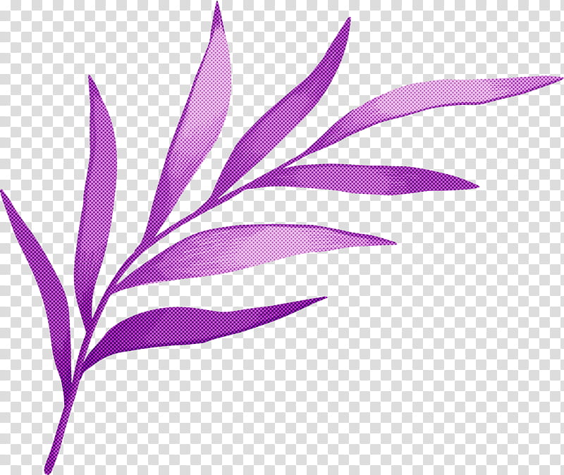 leaf plant stem petal root branch, Eudicots, Flower, Dicotyledon, Plant Anatomy, Plant Structure, Plants, Biology transparent background PNG clipart