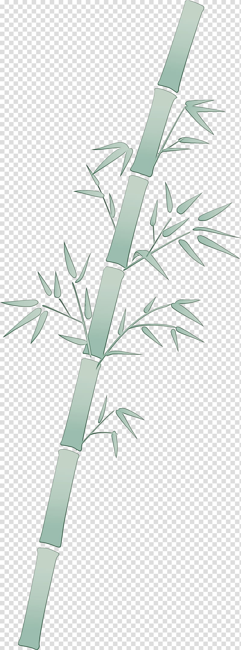 branch leaf plant tree bamboo, Watercolor, Paint, Wet Ink, Plant Stem, Flower, Grass, Twig transparent background PNG clipart