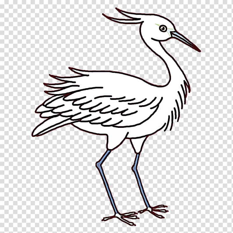 crane stork birds pelecaniformes white stork, European Robin, Beak, Ibis, Blue Jay, Water Bird, Swans, Goose transparent background PNG clipart