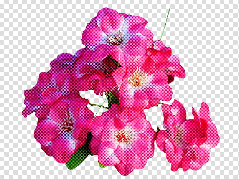 Floral design, Cranesbill, Petal, Cut Flowers, Herbaceous Plant, Annual Plant, Rose, Plant Stem transparent background PNG clipart