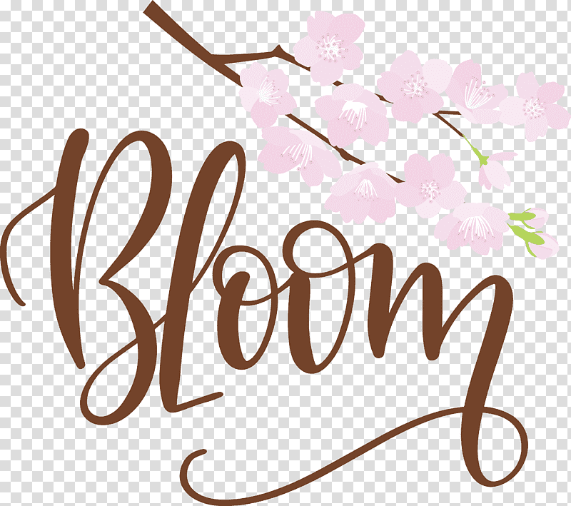 Bloom Spring, Spring
, Text, Floral Design, Nest Box, Garden, Word transparent background PNG clipart