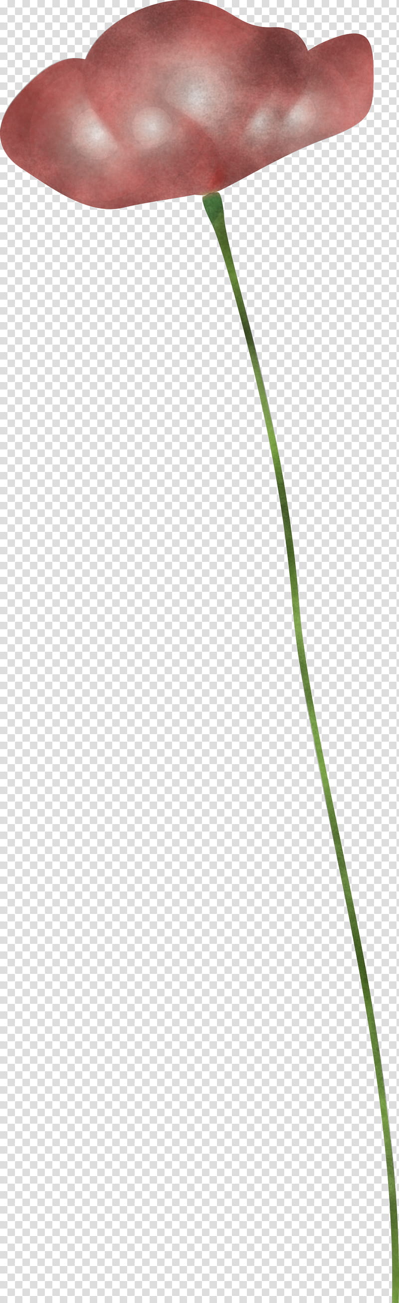 poppy flower, Green, Leaf, Grass, Plant, Grass Family, Plant Stem, Line transparent background PNG clipart