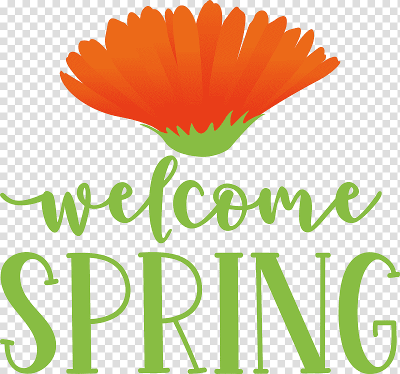 Welcome Spring Spring, Spring
, Flower, Logo, Pot Marigold, Petal, Meter transparent background PNG clipart