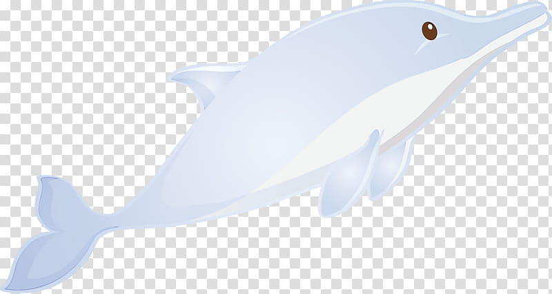 fish fin cetacea fish dolphin, Watercolor Dolphin, Paint, Wet Ink, Whale, Blue Whale, Bowhead transparent background PNG clipart