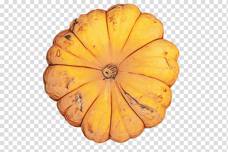 squash gourd winter squash melon cucumber, Watercolor, Paint, Wet Ink, Fruit, Yellow transparent background PNG clipart