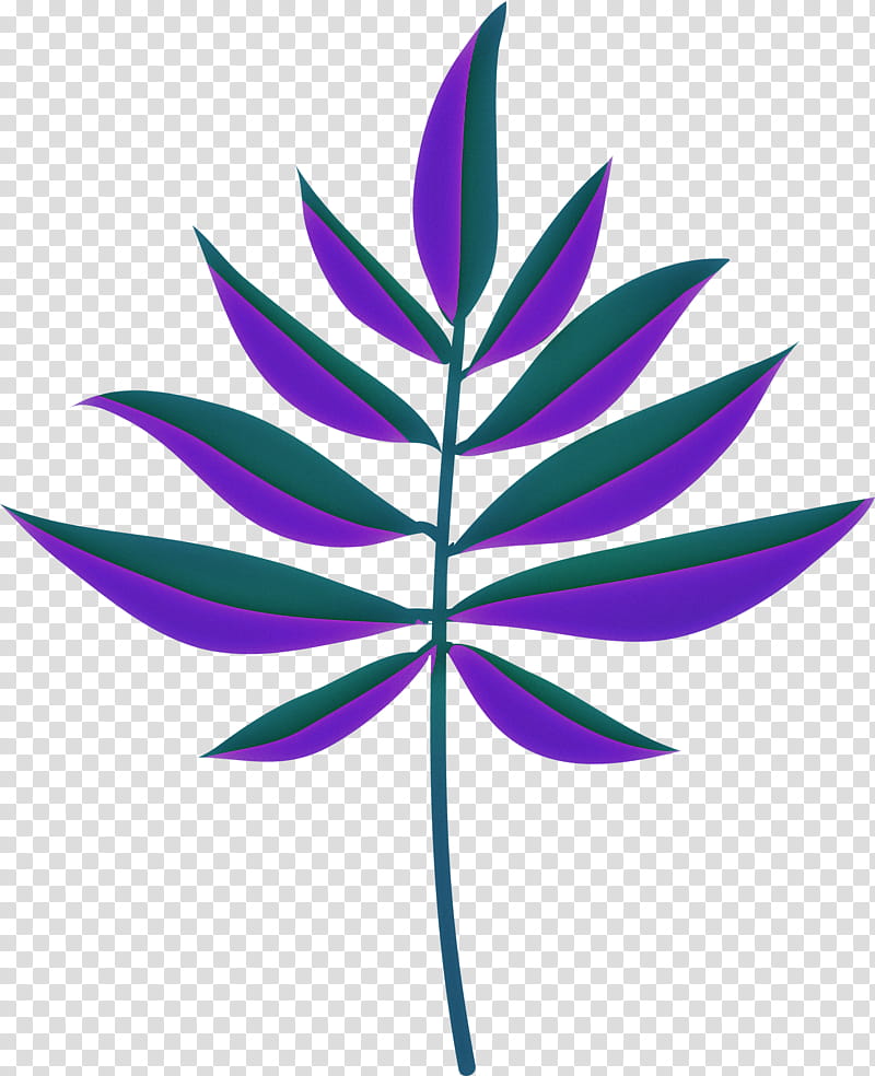 Palm trees, Branch, Plant Stem, Leaf, Line, Flower, Painting, Frame transparent background PNG clipart