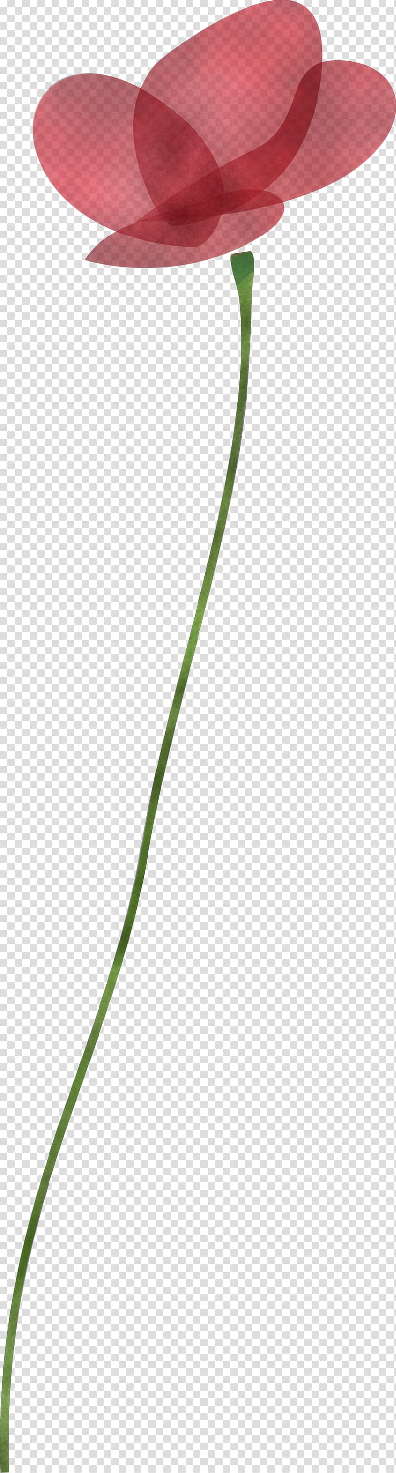 poppy flower, Green, Leaf, Plant, Grass Family, Plant Stem, Line transparent background PNG clipart