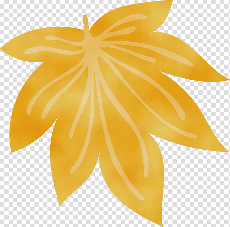 carambola leaf yellow symmetry science, Watercolor, Paint, Wet Ink, Biology, Plant Structure, Plants transparent background PNG clipart