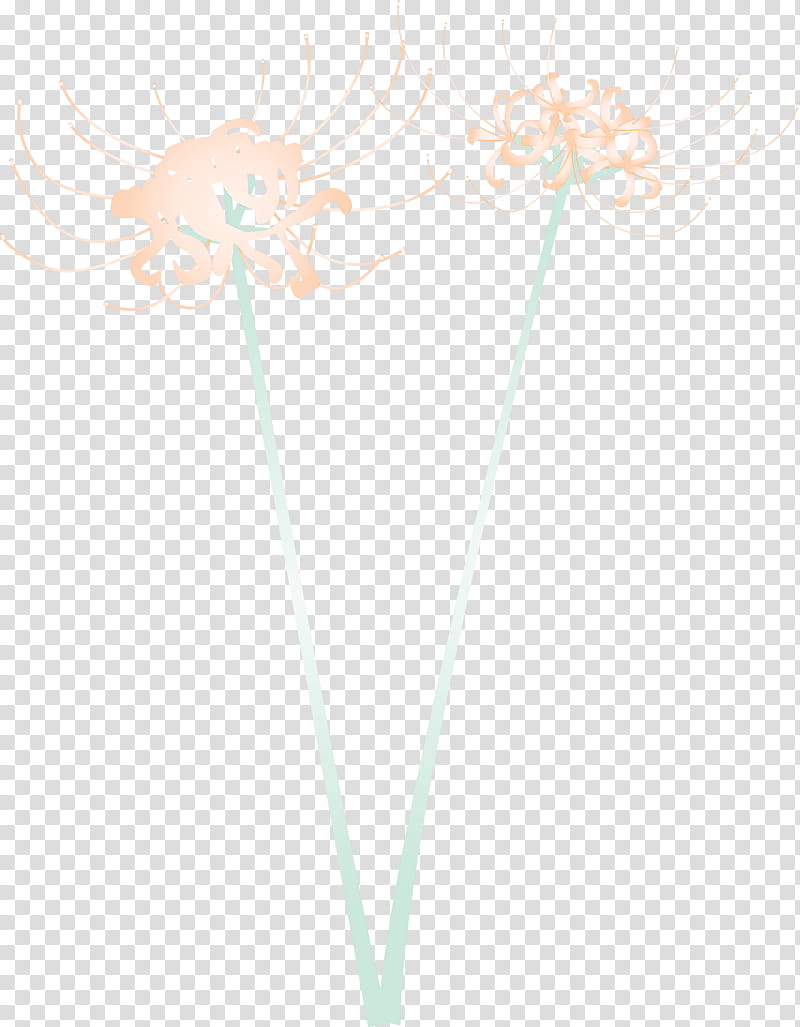 Hurricane Lily flower, Plant transparent background PNG clipart