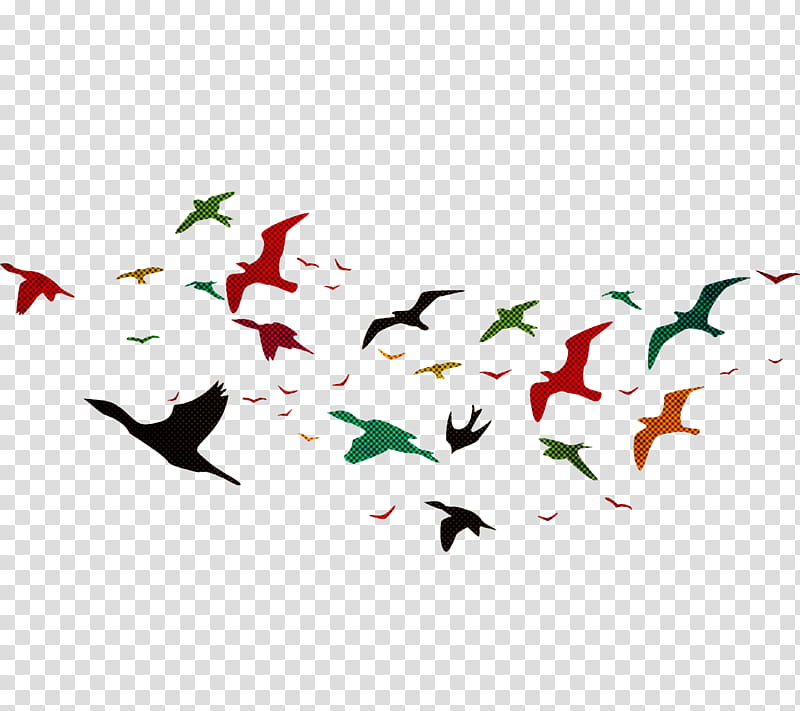 October, Kulturnodosugovyy Tsentr Oktyabr, Beak, Birds, French Invasion Of Russia, Water Bird, Deprecated Library, Anons transparent background PNG clipart