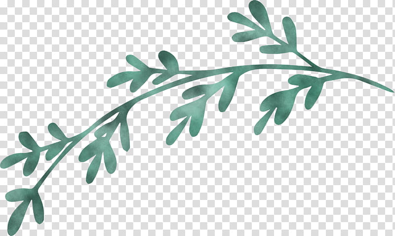 Leaves Drawing PNG Transparent Images Free Download | Vector Files | Pngtree