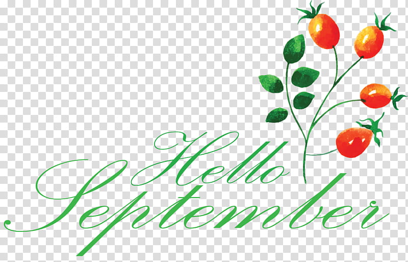 hello september, Logo, Script Typeface, Computer, Natural Foods, Old English, Text, Superfood transparent background PNG clipart