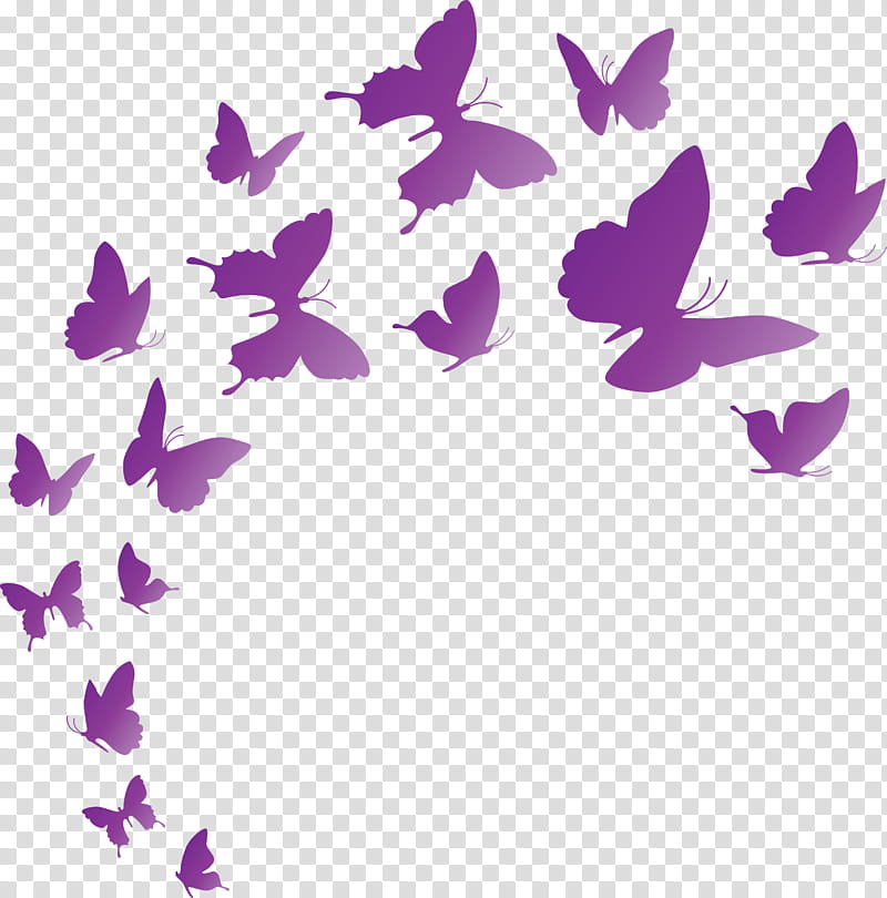 Butterfly background flying butterfly, Purple, Line, Meter transparent background PNG clipart