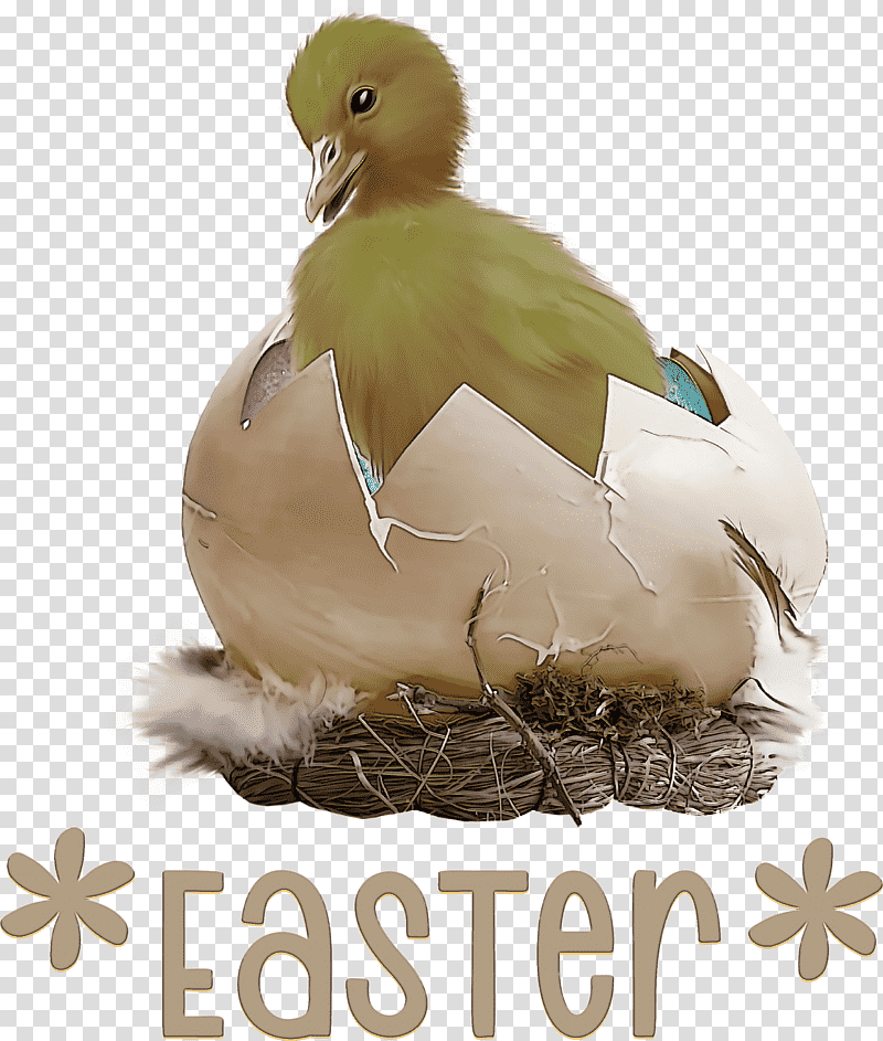 Easter Chicken Ducklings Easter Day Happy Easter, Easter Bunny, Easter Egg, Easter Basket, Rabbit, Eastertide, Holiday transparent background PNG clipart