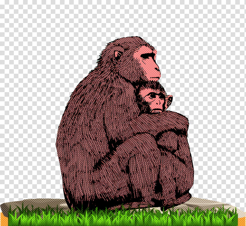 old world monkeys macaques world cartoon man-ape, Manape, Human transparent background PNG clipart