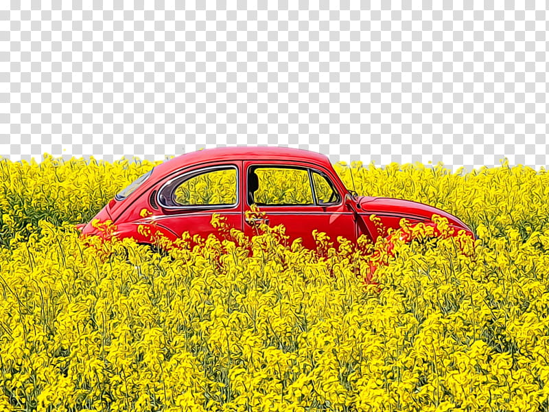 rapeseed oil car yellow landscape flower, Watercolor, Paint, Wet Ink transparent background PNG clipart