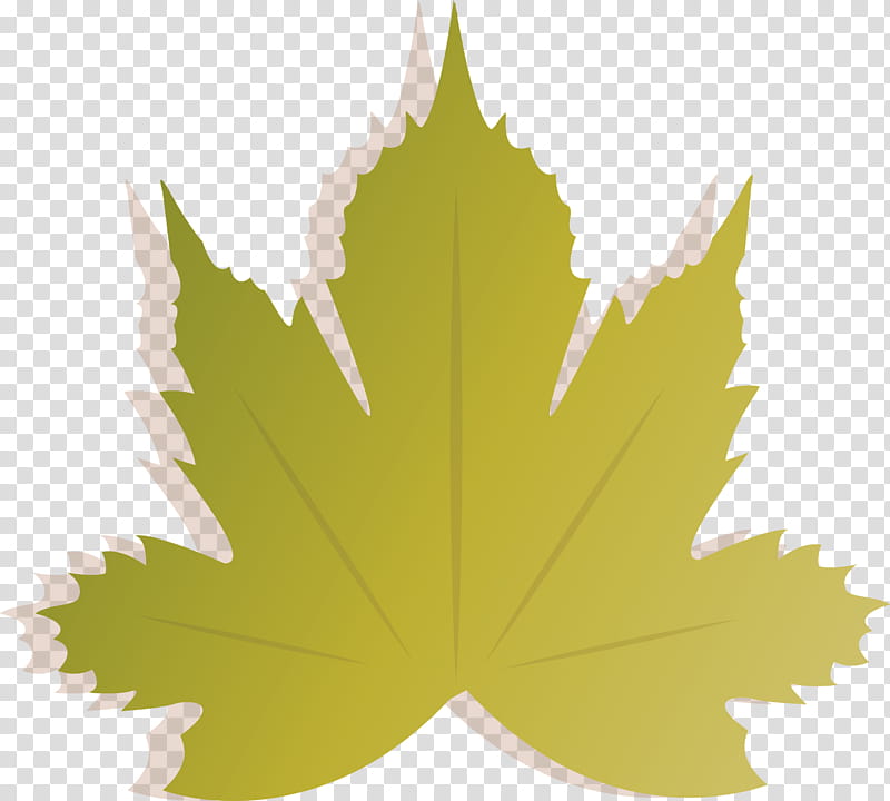 Autumn, Maple Leaf, Leaf Vegetable, Autumn Leaf Color, M02j71, Logo, Helium transparent background PNG clipart