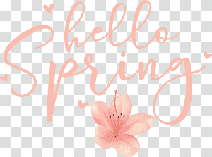 Floral design, Hello Spring, Spring
, Watercolor, Paint, Wet Ink, Greeting Card transparent background PNG clipart thumbnail