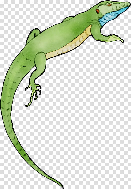 Frog, Gecko, Common Iguanas, Cartoon, Animal, Reptile, Lizard, European Green Lizard transparent background PNG clipart