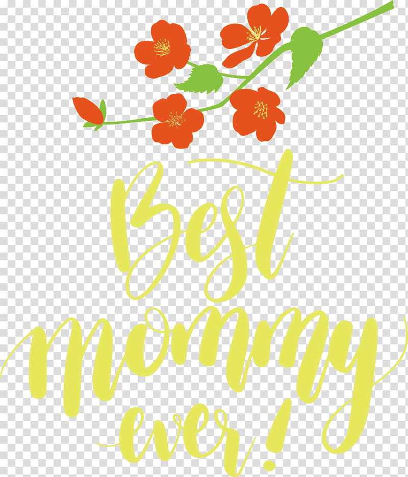 Mothers Day Super Mom Best Mom, Love Mom, Floral Design, Tshirt, Gift, Birthday
, Logo transparent background PNG clipart