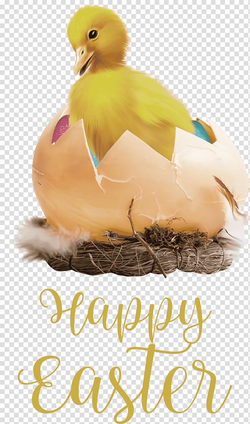 Happy Easter chicken and ducklings, Animation, Eggshell, Cartoon, Duck Egg, Drawing, Chicken Egg transparent background PNG clipart