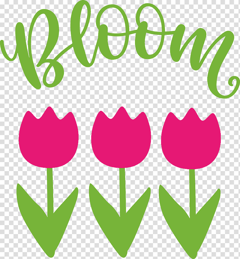 Bloom Spring Flower, Spring
, Wall Decal, Sticker, Room, Text, Bedroom transparent background PNG clipart