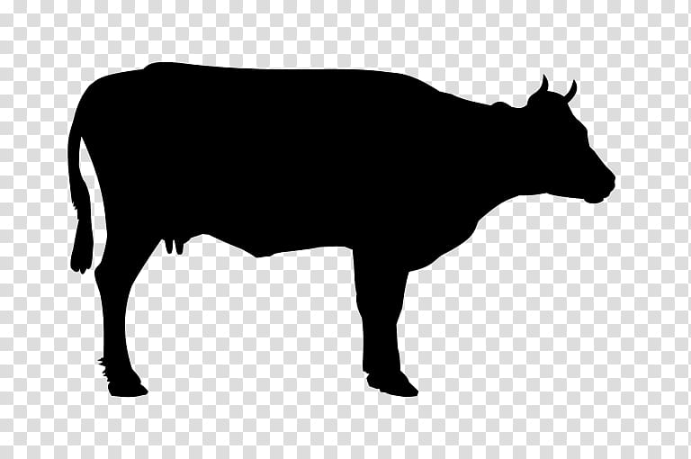 bovine cow-goat family bull snout live, Cowgoat Family, Live, Dairy Cow, Silhouette transparent background PNG clipart